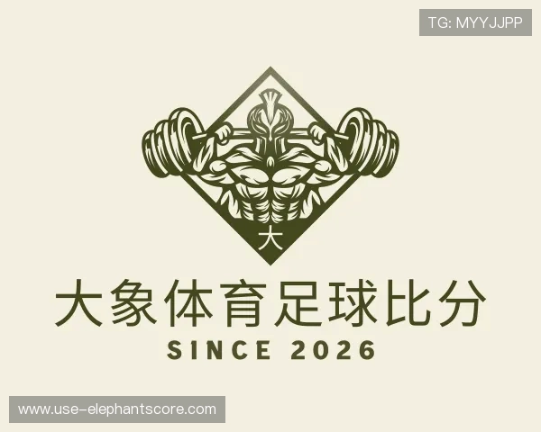 解读大象体育足球比分